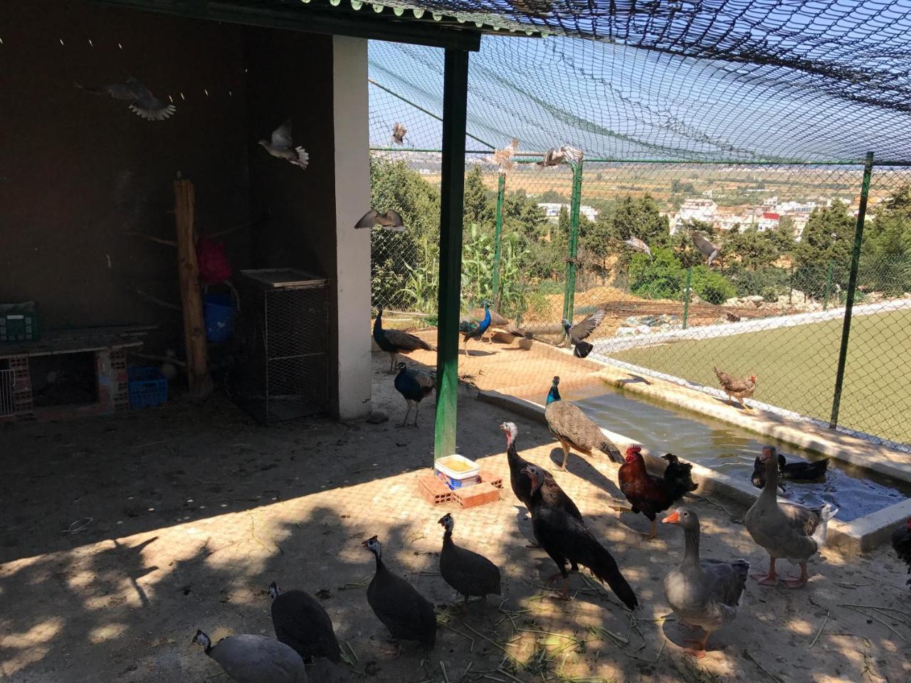 Residence Nardina Golden El Malaliyine Dış mekan fotoğraf